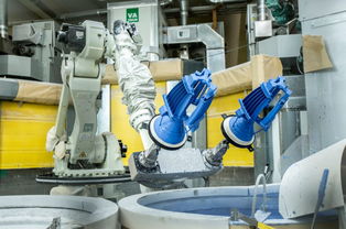 专访法国赛峰公司高层 贵阳工厂硅铁粒产品质量卓越，引领行业标准